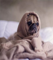 河池有这样的手机号码，留不住钱，你中枪了吗？