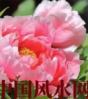 河池预示你财运上升，姻缘可成的梦境，快来看看吧！