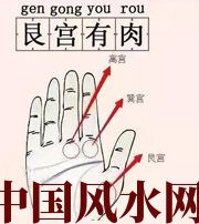 河池这个地方肉越多，财运就越好