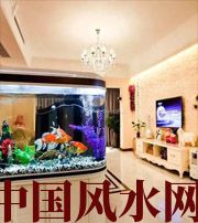 河池家中用水有讲究，小心你的财运被水带走！