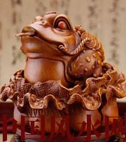 河池解读金蟾最合适的位置，这样摆放更招财！