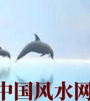 河池做梦梦到这些，是要富裕的征兆！